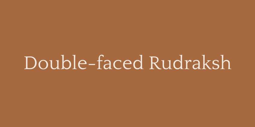 Double-faced Rudraksh (2 Mukhi Rudraksha)